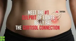 Lower Belly Fat